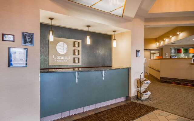 Comfort Inn & Suites Madison - Airport