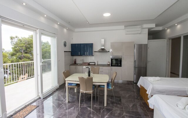 Luxury apartment INA