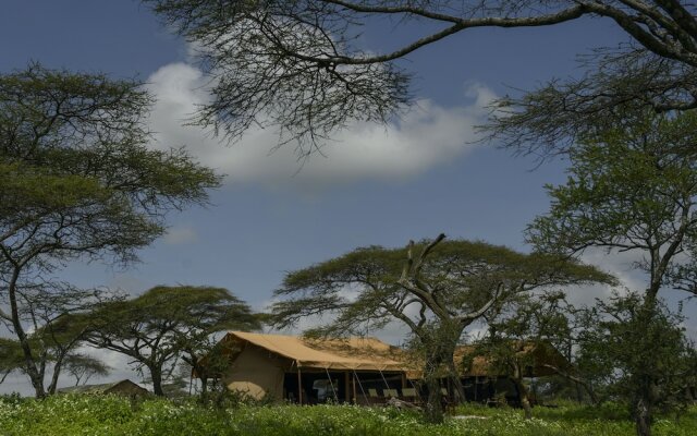 The Royal Migration Camp - All Inclusive