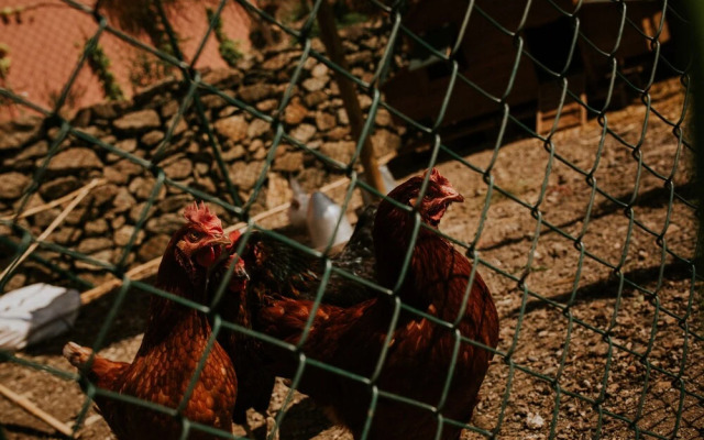 Casa Siempreviva - Adults Recommended