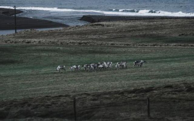 Guesthouse Borg-Njardvík