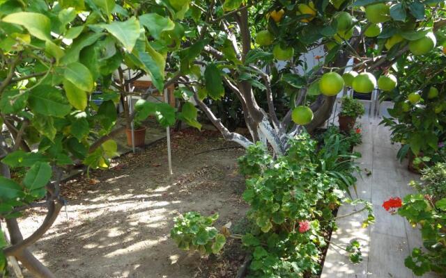 Cozy Citrus Garden House by the Seaside.
