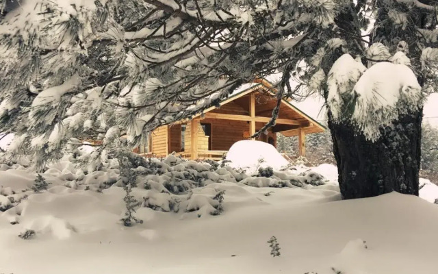 Uludag Orman Koskleri