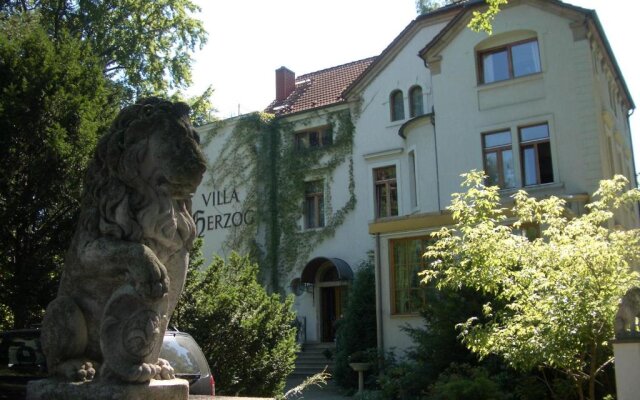 Villa Herzog