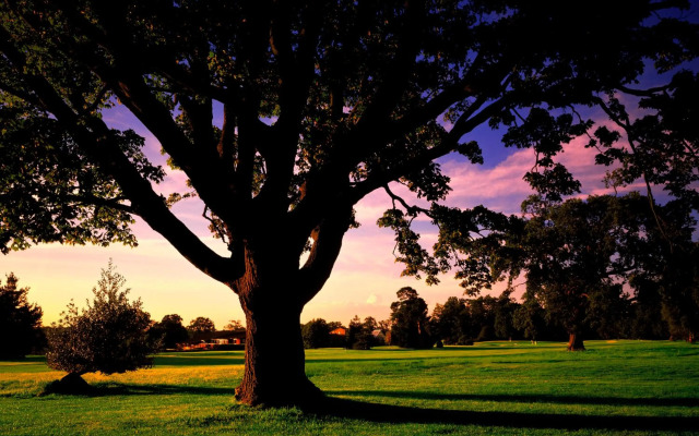 Meon Valley Hotel, Golf & Country Club