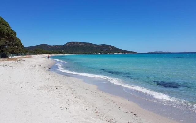 Maison sur Palombaggia