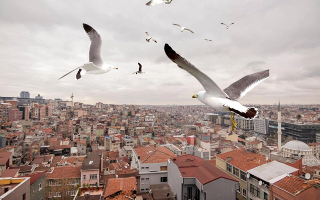 Taksim Roya Apartment - Two Bedroom