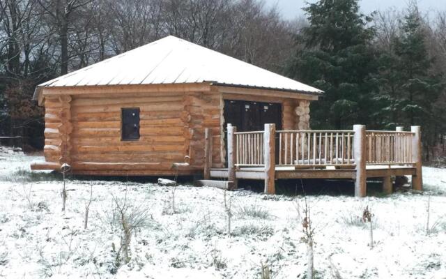 Coed y Marchog Woodland Retreat