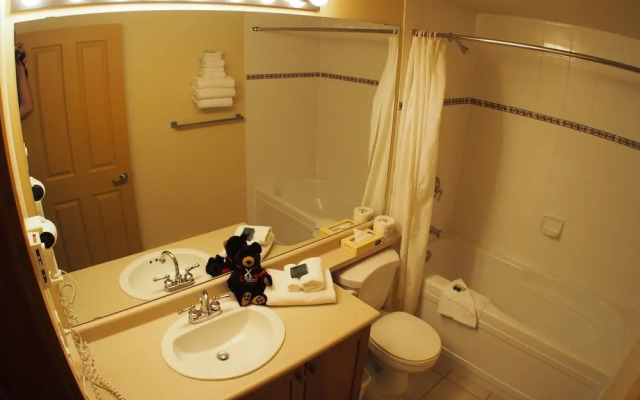 Fireside Lodge by Bear Country