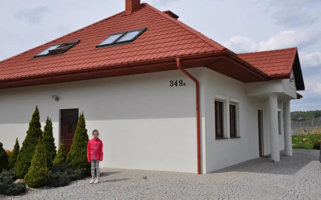 Winnica Maria Anna