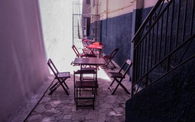 The Backpacker Cat Hostel