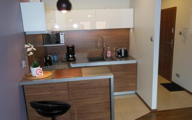 Apartament Studio przy Deptaku