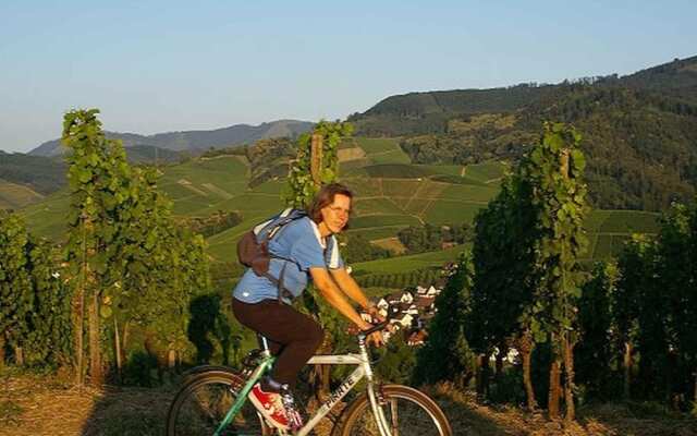 Gasthaus - Pension Hohberg