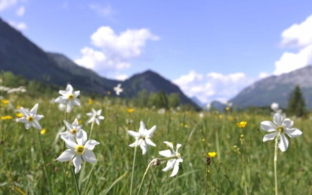 Hotel-Pension Ladner am Grundlsee