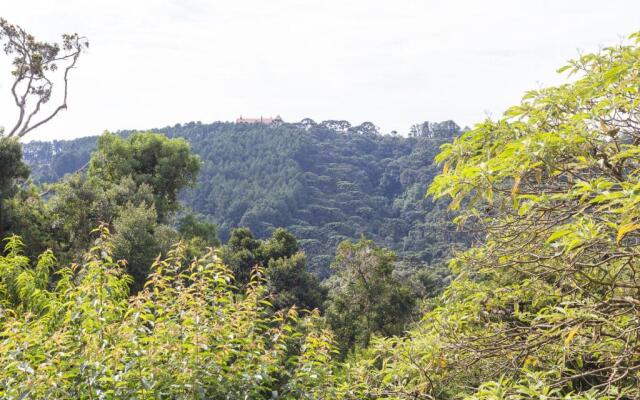 Pousada Villa Hegus