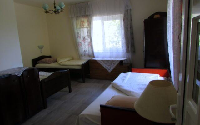 BIO Pension - BIO Panzio - Pensiunea BIO