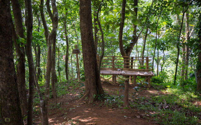 Season7 The Nature Resort - Munnar