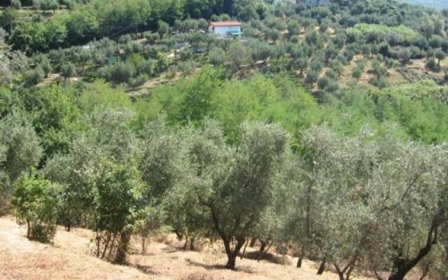 Le Fontane Podere Delle Forri
