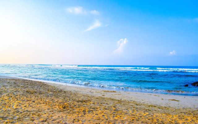 The Youth Hostel - It's a Youth Fame