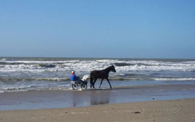 "sina" Comfortable Holiday Residence