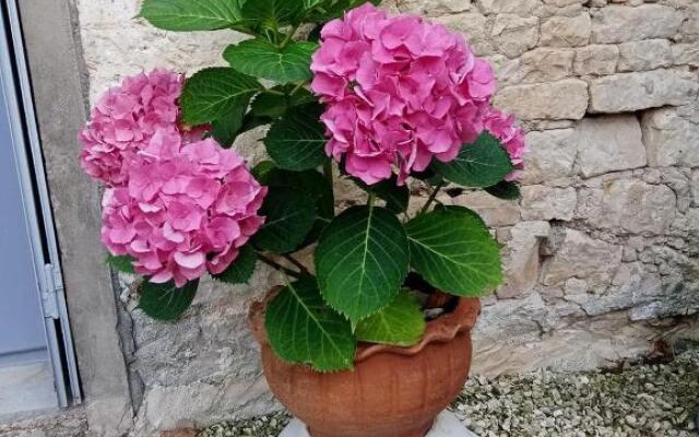 Bed and Breakfast Dunroamin