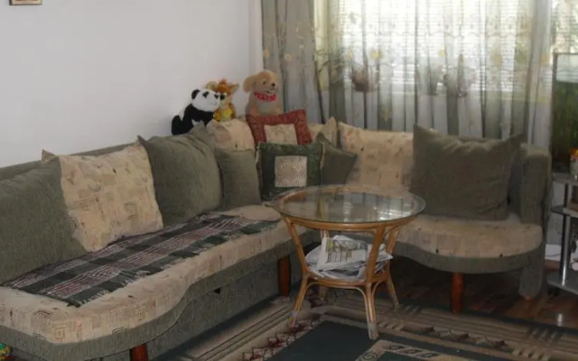 Vlad - Tanya Guest House