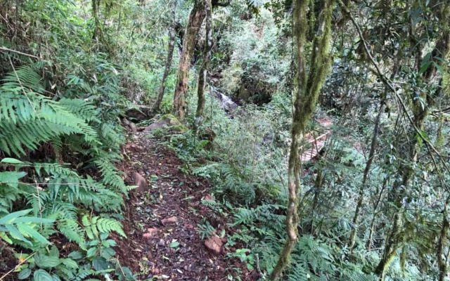 Ecolodge Piedra y Agua