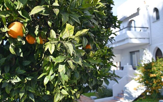 Yellow Jasper - Gemstone Getaway