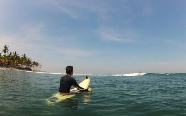 Surfer House-Surf School & Camp