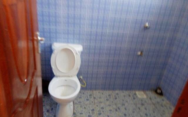 Lewisky homestays and tours