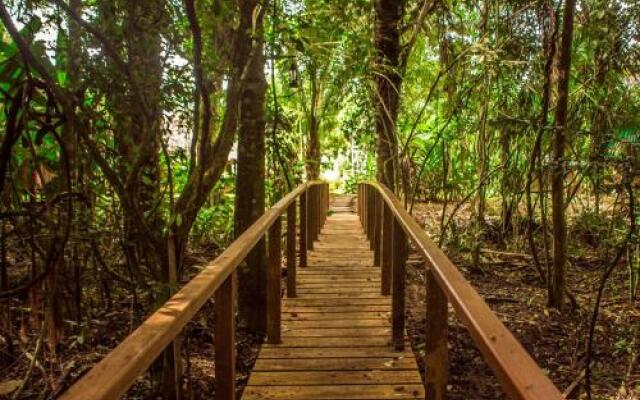 Corto Maltes Amazonia
