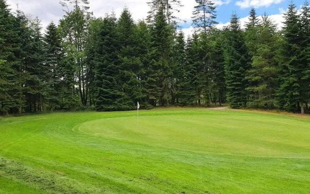 Holiday Home in Silkeborg