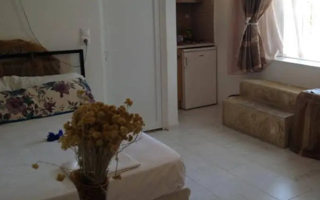 Villa Olga Apartments & Studios