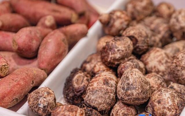 Echeng Hotel Liuzhou Yufengshan High-Speed Railway Station