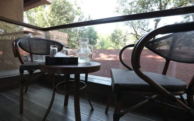 Basilica Rediscover Serenity