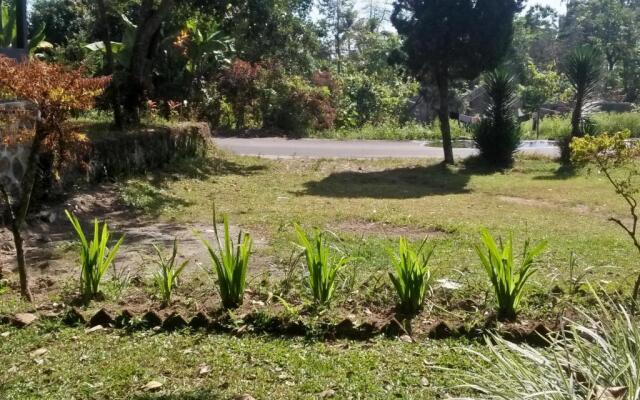 Bukit Senaru Homestay