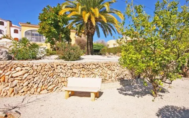 Villa Albero