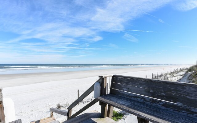 Sand Dollar I 504
