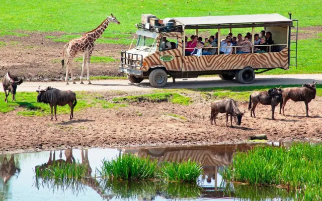 Serengeti Safari Lodge