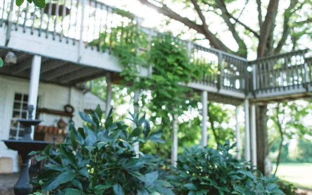 Orchard House Bed and Breakfast