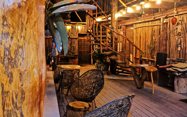 Jungla y Estrellas K AAX EK