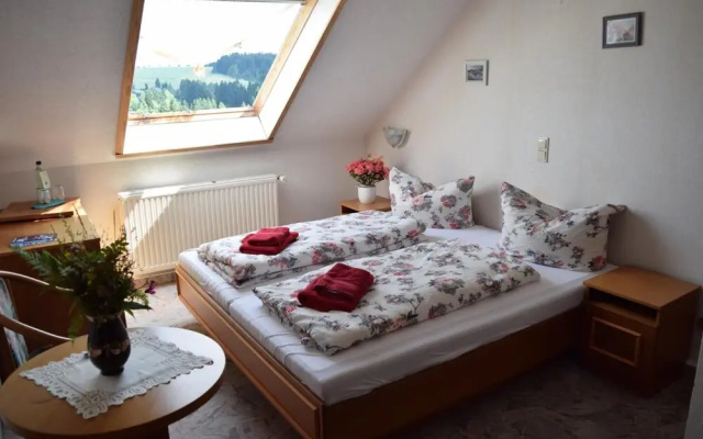 Hotel Carola