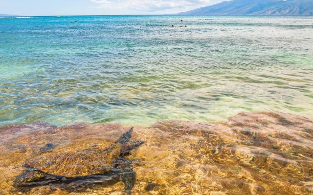 Kaanapali Plantation 53
