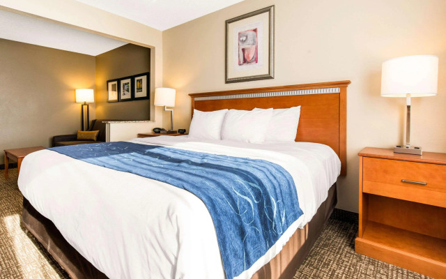 Comfort Suites Normal University area