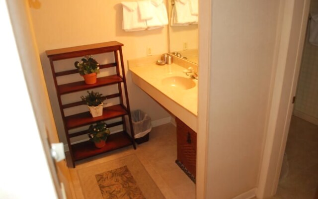 Rumbling Bald Resort