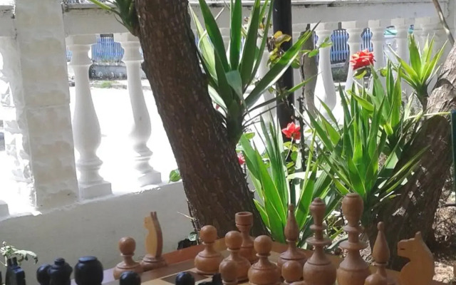 Dionisos Palms