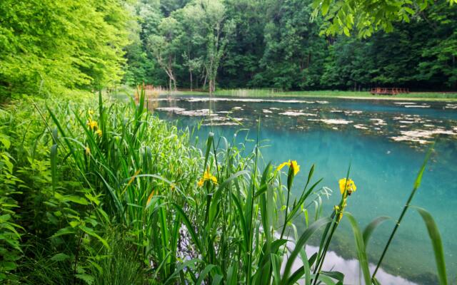 Rural Homestead Trenkovo