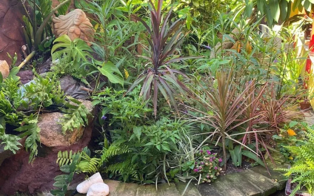 Casa Artística Pousada Leão