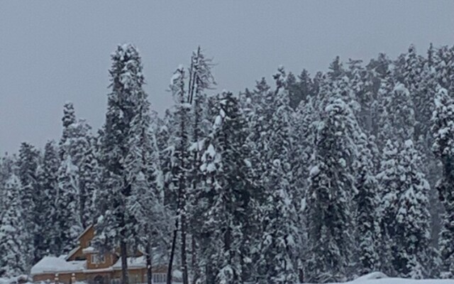 Gulmarg Ski Hill Resort