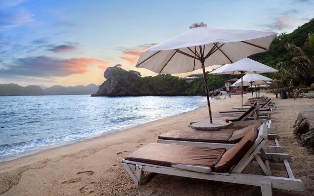 Monkey Island Resort